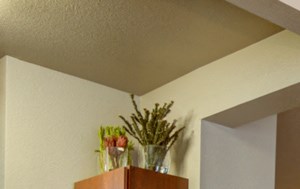 Dining Area at The Ranch at Pinnacle Point Apartments in Rogers, AR