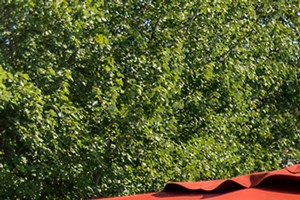 Photos - Swift Creek Commons Apartments in Midlothian VA near Richmond