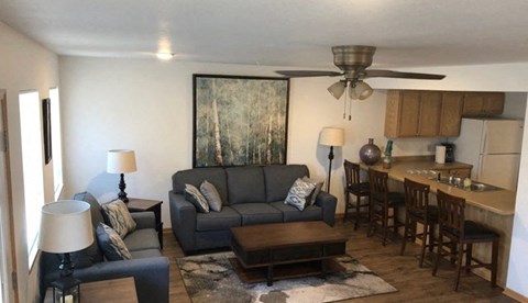 a living room and kitchen with a couch and a table