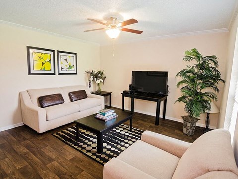 a living room with a couch and a television
