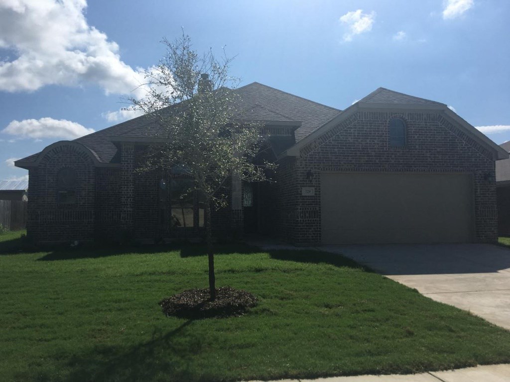 a tree in a yard in front of a house