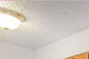 1 Bed / 1 Bath - Kitchen Area and Living Area