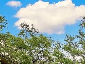 Luxury Retirement Community In San Antonio Tx Newforest