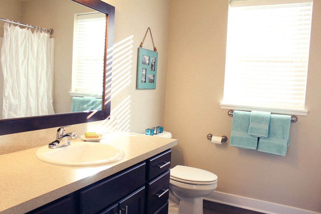 a bathroom with a sink and a toilet and a mirror