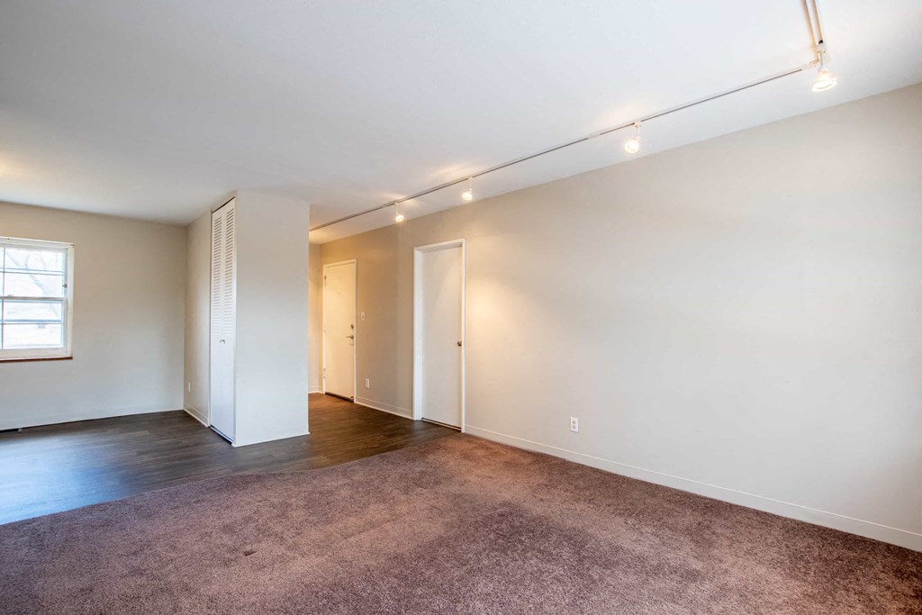 a living room with a carpet and a door to a closet