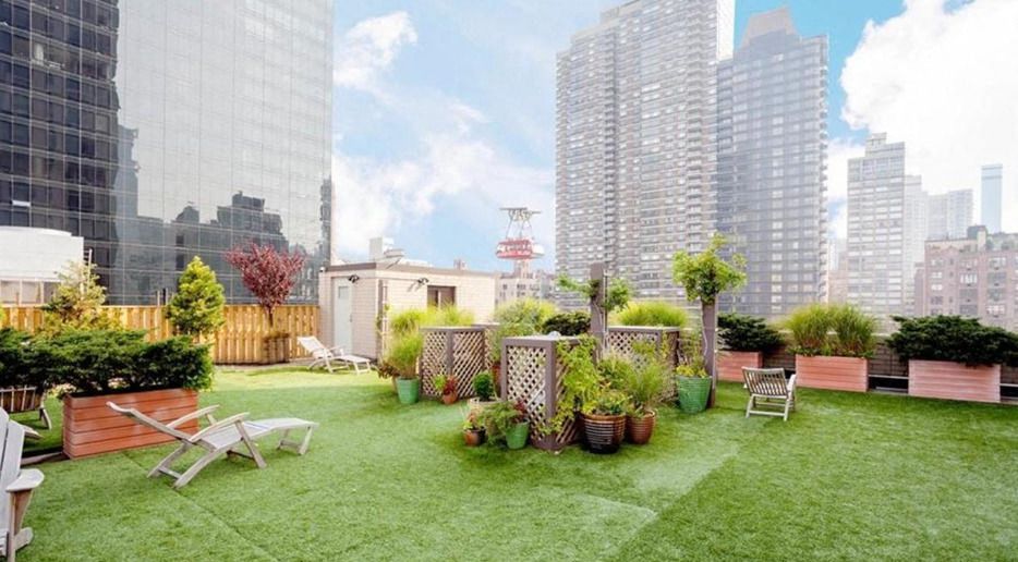 a backyard with a lawn and chairs and potted plants