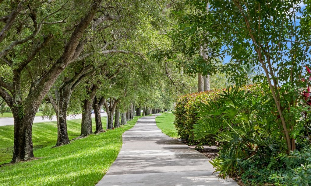 a path through a park with trees and grass