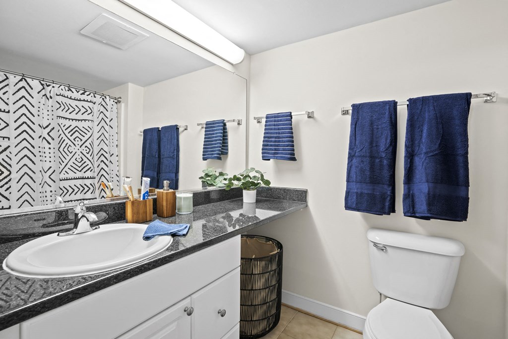 a bathroom with a sink and a toilet and a mirror