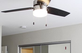Upgraded designer ceiling fans and lighting