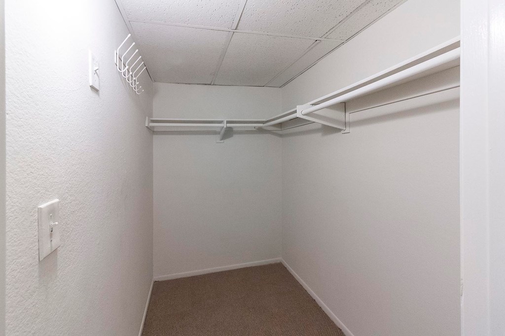 A white closet with a carpeted floor and a white door.