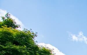 Apartments In Midtown Atlanta The Prato At Midtown