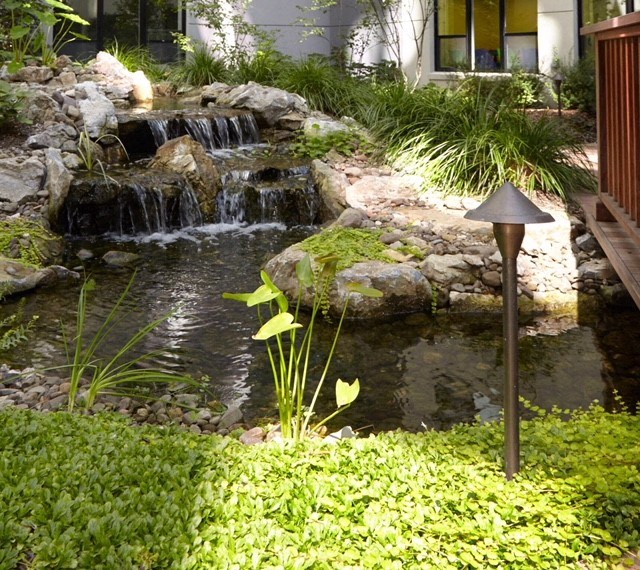 a small waterfall into a pond in a garden