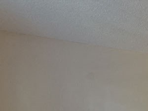 Bedroom at Times Square Apartments in Dublin OH