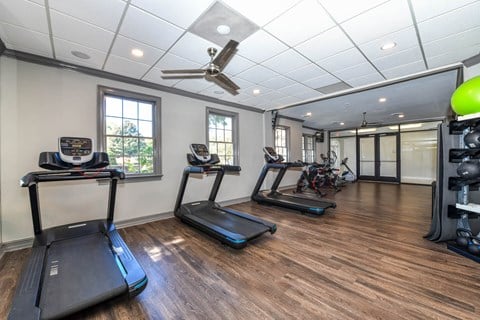 Fitness Center With Modern Equipment, at Crestmark Apartment Homes, Lithia Springs, GA 30122