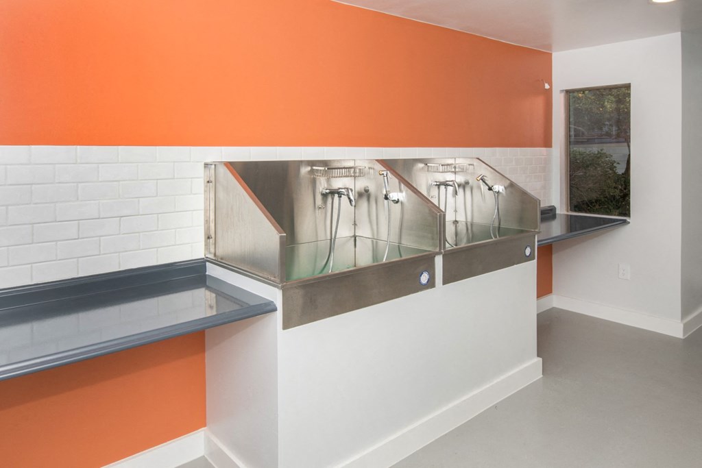 northwest san antonio apartments with pet wash