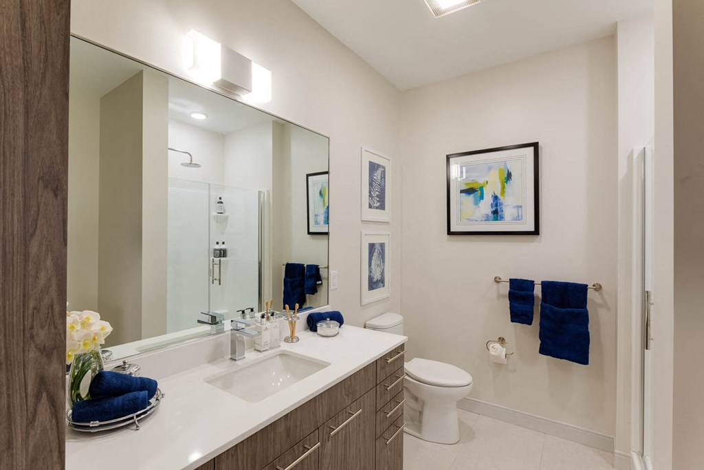 a bathroom with a sink and a toilet and a mirror