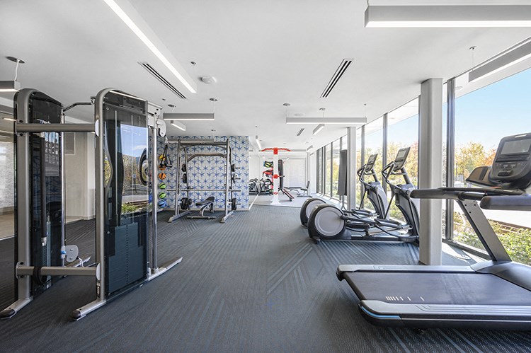 the gym at the house