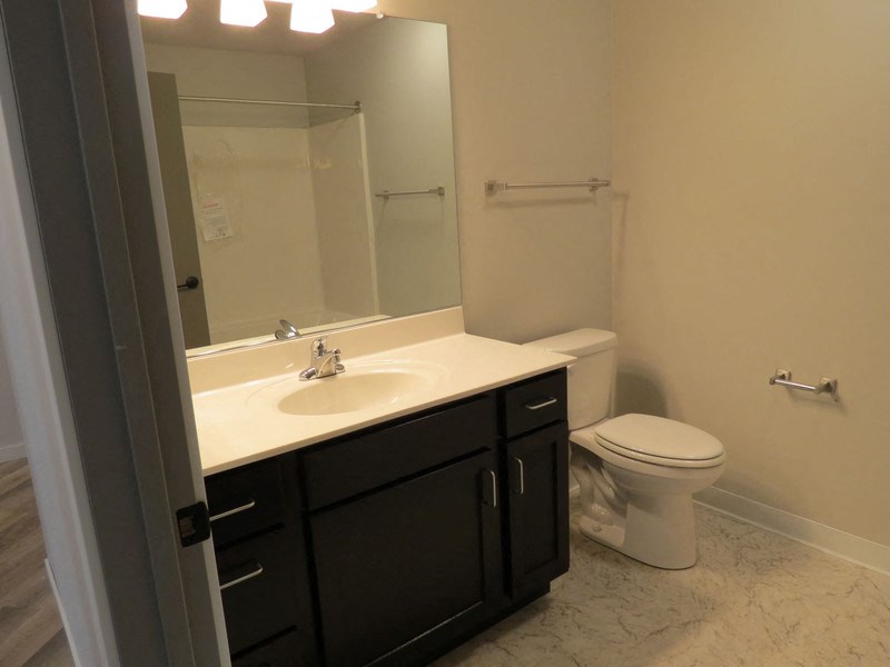 a bathroom with a sink and a toilet and a mirror