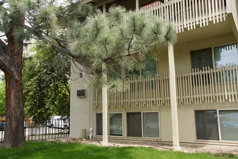 an apartment building with a tree in front of it