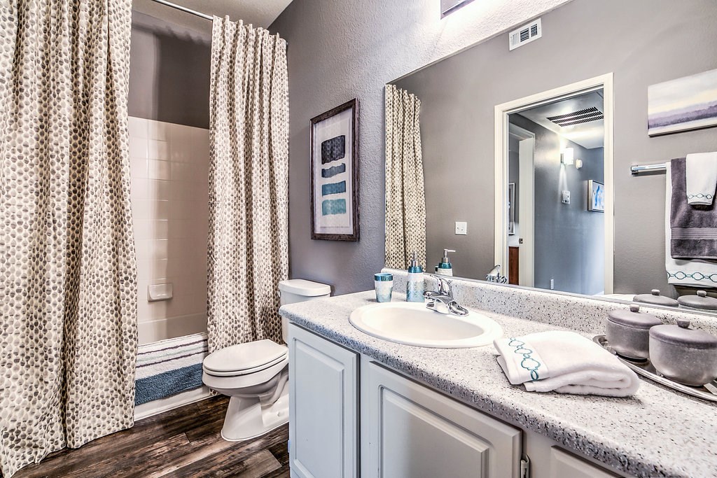 a bathroom with a sink and a toilet