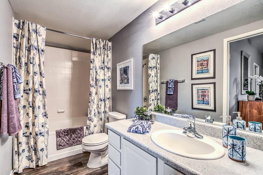 a bathroom with a sink and a toilet and a shower