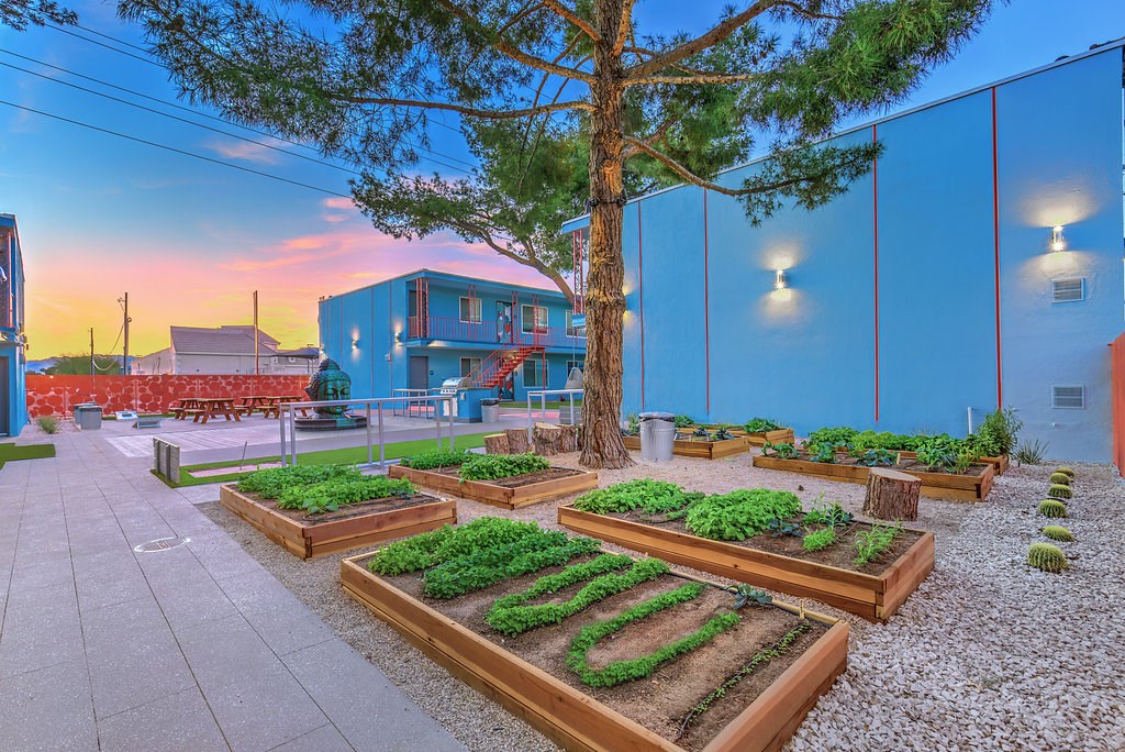 a garden outside of a building with plants in wooden boxes