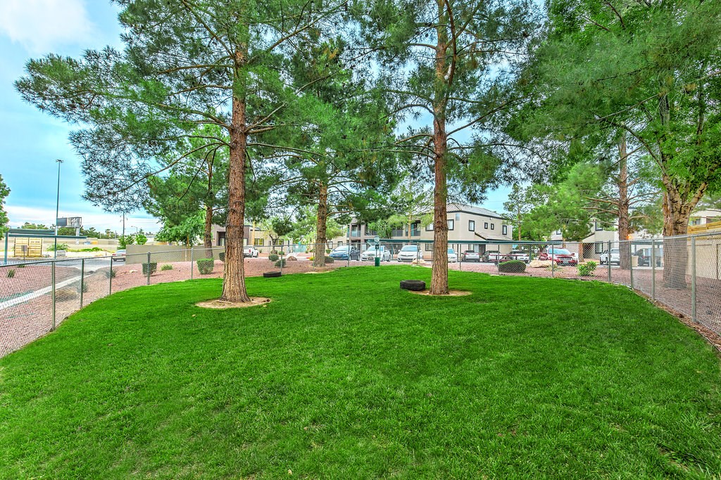 a grassy area with trees and a chain link fence