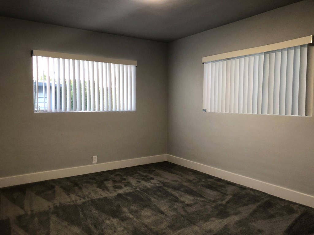 a bedroom with two windows and a carpeted floor