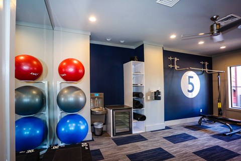 a home gym with a bunch of exercise balls on the wall