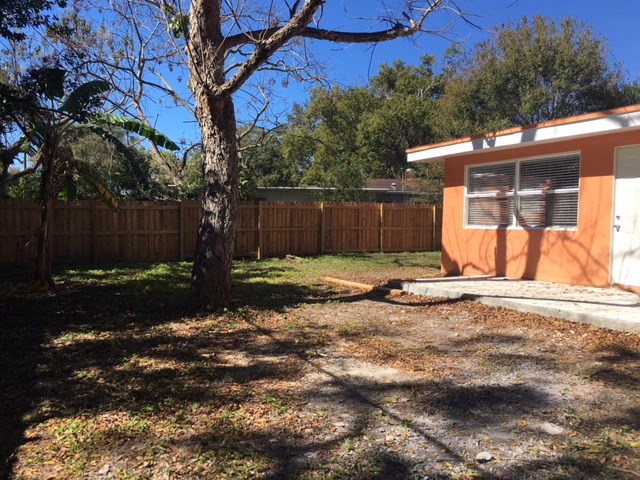 a backyard with a house and a tree