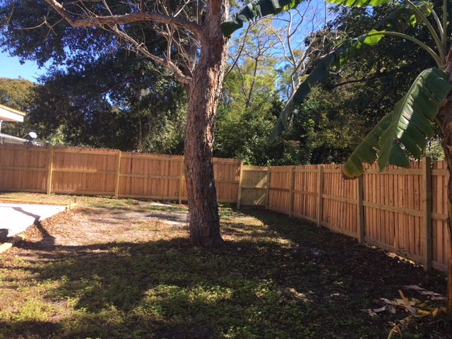 a backyard with a tree and a wooden fence