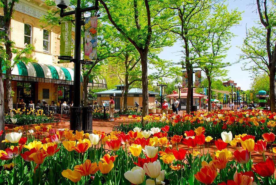 Louisville, CO apartments for rent l North Main at Steel Ranch