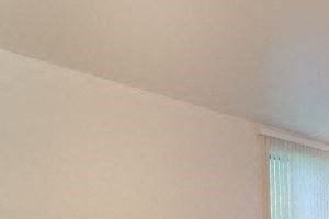 Two Bedroom Apartment