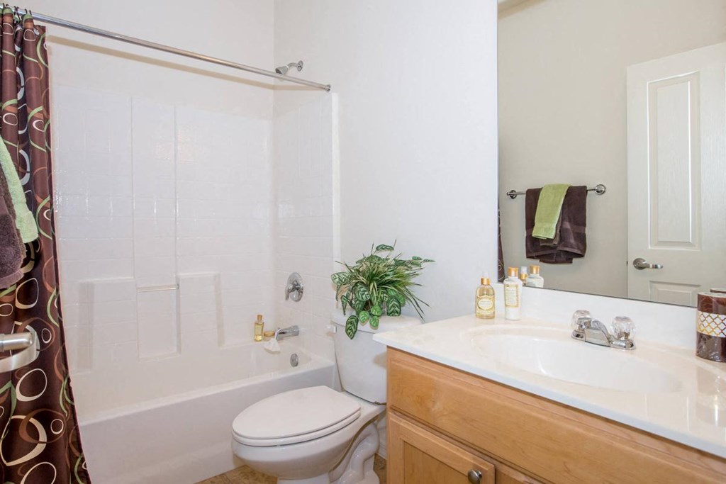 a bathroom with a sink toilet and a shower