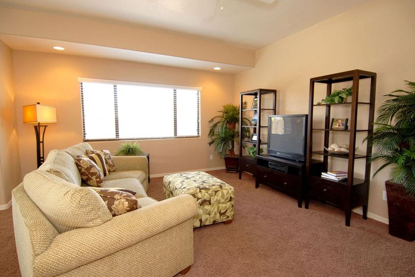 a living room with a couch and a television