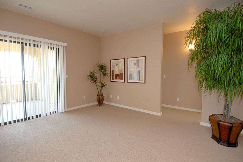 a living room with a large window and a potted plant
