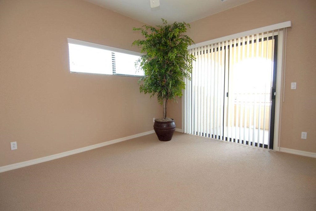 an empty living room with a plant in the corner