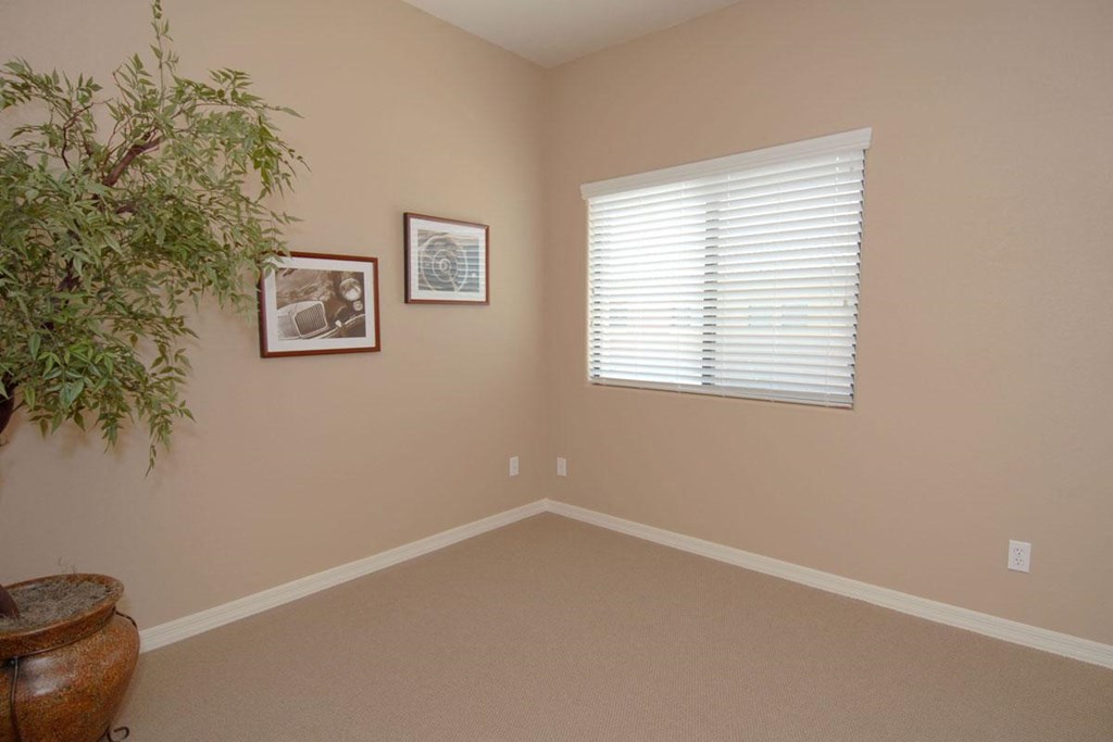 a corner of a room with a plant and a window