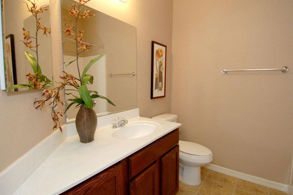 a bathroom with a sink and a toilet and a mirror