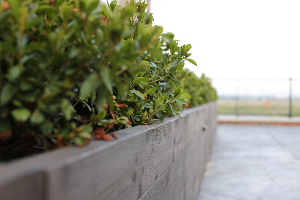 a planter filled with green plants on a concrete wall