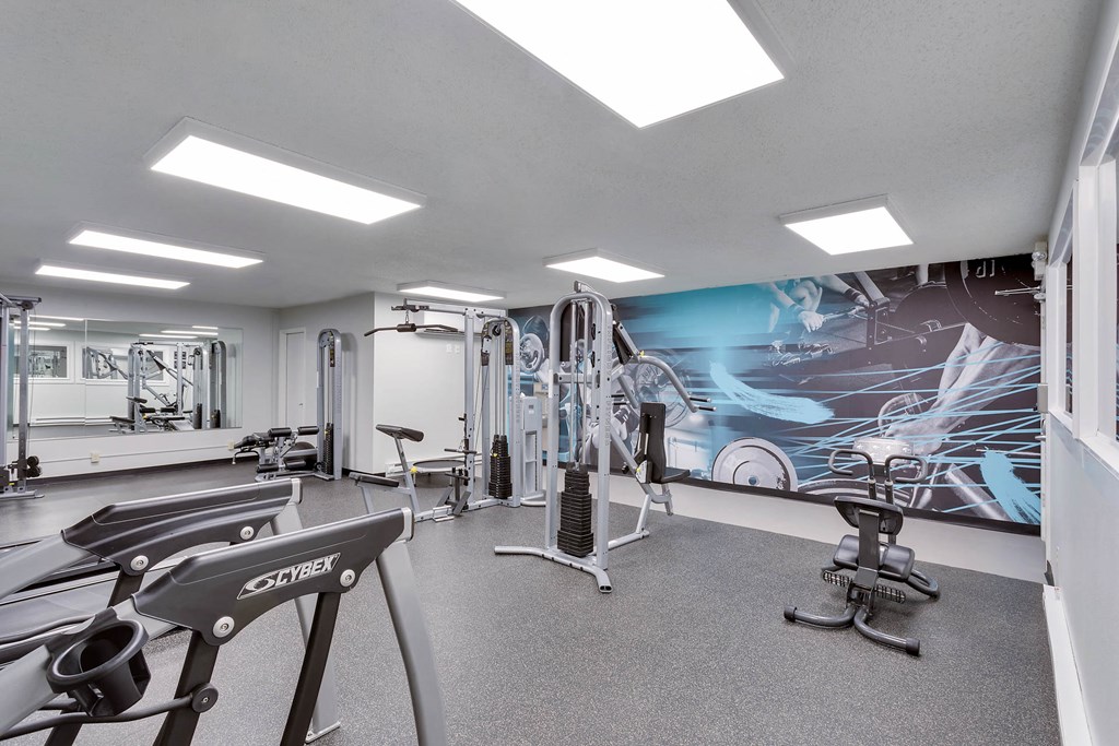 a gym with exercise equipment and a wall mural