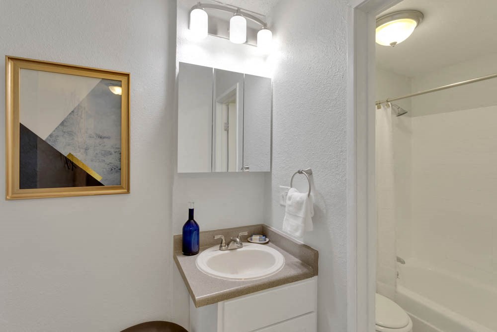 a bathroom with a sink and a mirror and a shower