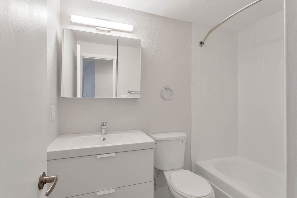 a bathroom with a sink toilet and a mirror