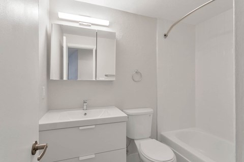 a bathroom with a sink toilet and a mirror