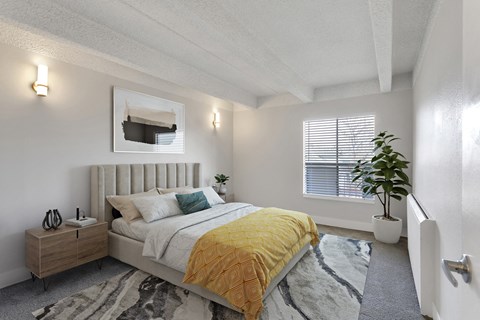 a bedroom with a bed and a plant