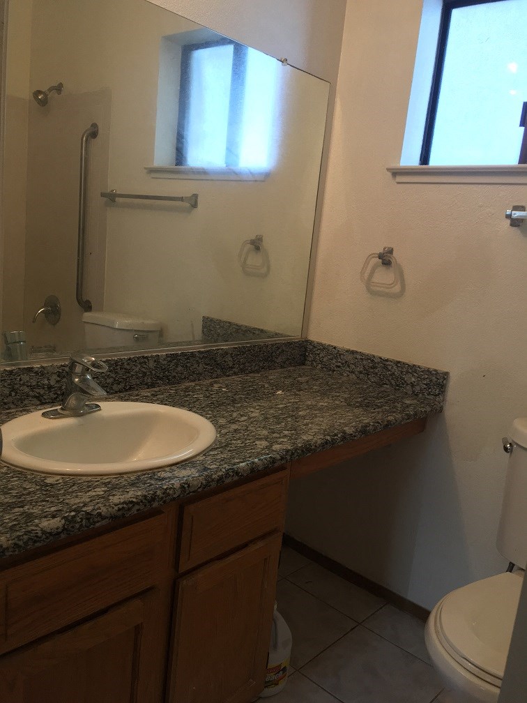 a bathroom with a sink and a toilet and a mirror