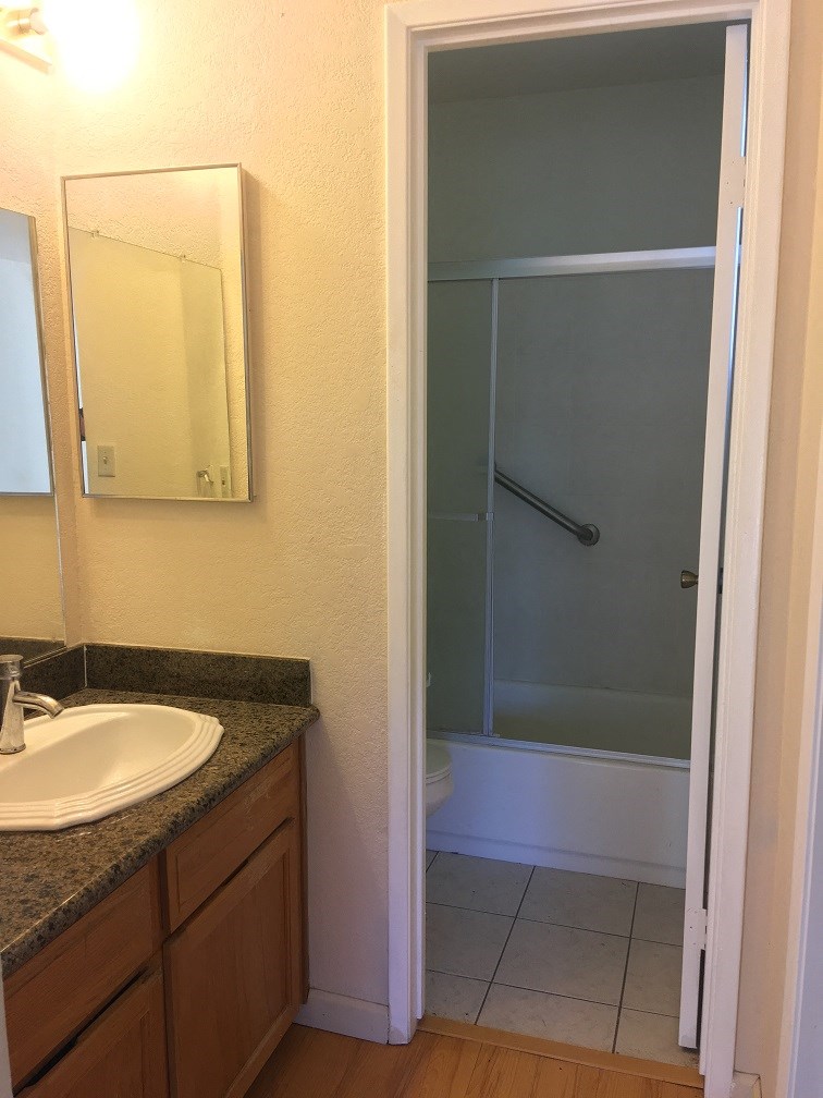 a bathroom with a sink and a shower