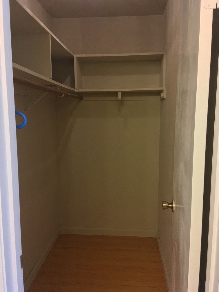the closet is empty and the door is open