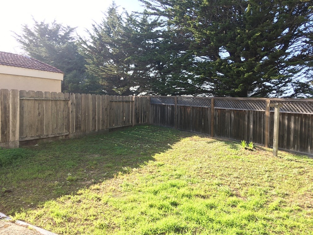 a backyard with a fence and a tree in the corner
