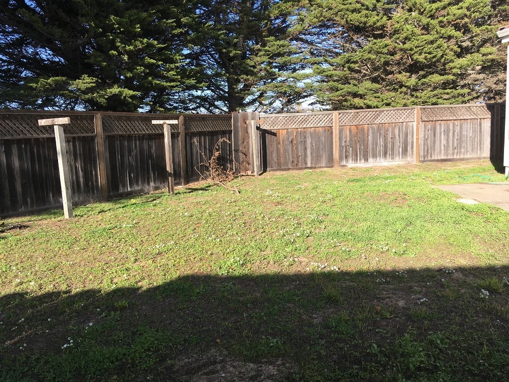 a backyard with a fence and a yard with grass